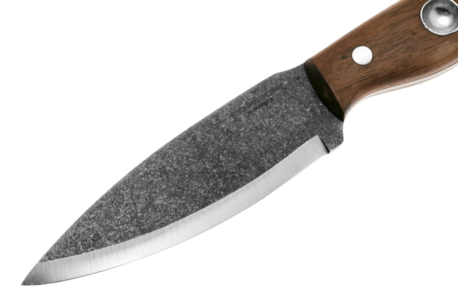 Condor Wayfinder Knife 2830-5.2HC Cuchillo Bushcraft 62734 - Imagen 3
