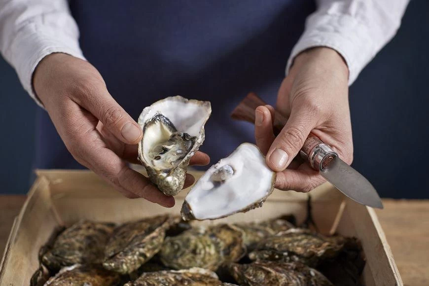 Opinel Cuchillo De Ostras N°09 - Imagen 6